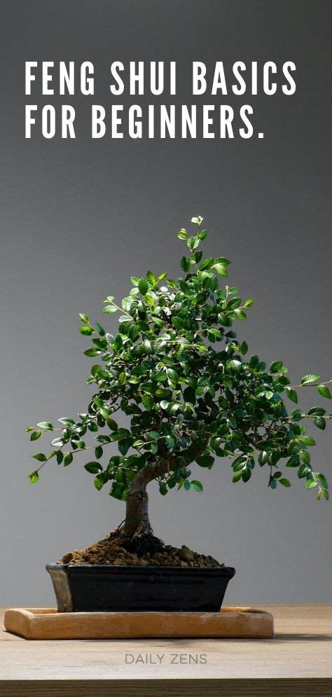 Image result for Feng Shui Basics