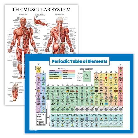 2 Pack Periodic Table Of The Elements Poster For Kids | Desertcart INDIA