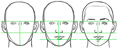 Image result for Face Proportion Tutorial