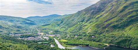 Image result for Dual Insurance Logo