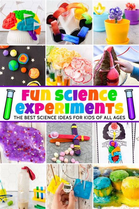 Image result for First Grade Science Experiments