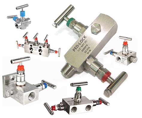 Manifold Valve, 2-3-5 Way Manifolds Valve, Supplier, Manufacturer, India