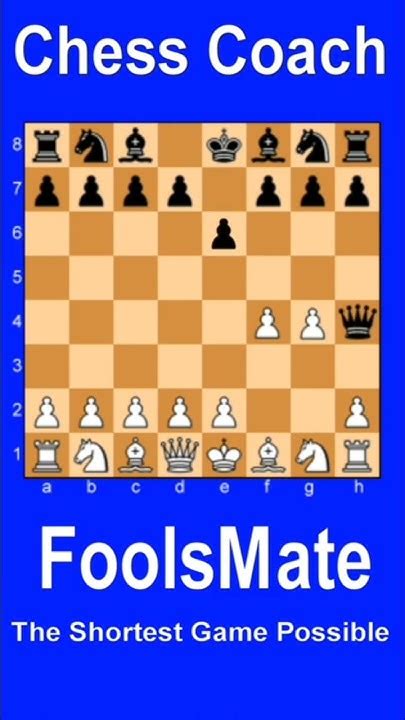 Image result for Quickest Checkmate