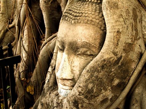 Ayutthaya Kingdom Of Siam Thailand Free Stock Photo - Public Domain Pictures