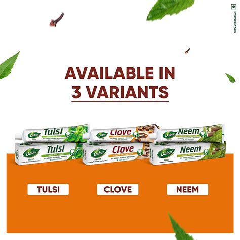 Buy DABUR HERB'L CLOVE 200G CAVITY PROTECTION TOOTHPASTE | NO ADDED ...