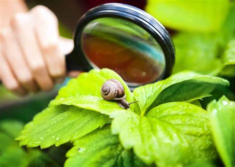 Image result for Methods of Animal Behavior Overview