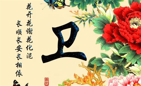 姓卫的好听的男孩名字，姓卫的好听的女孩名字 - 哔哩哔哩