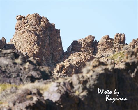 THE BEST Places to Visit in Gobi Gurvansaikhan National Park (2024)