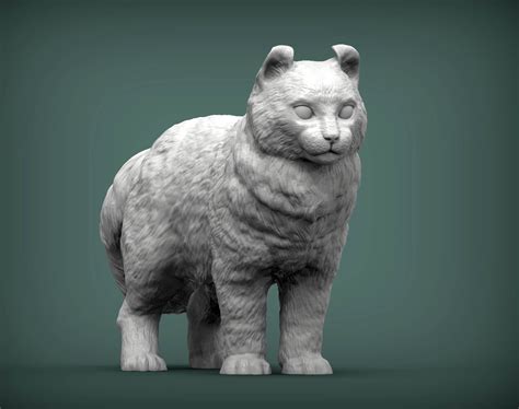 American Curl Cat 3D Print Model by Alexander3dart
