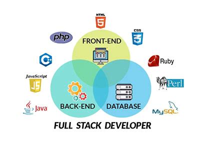 Full-Stack Developer Projects 的图像结果