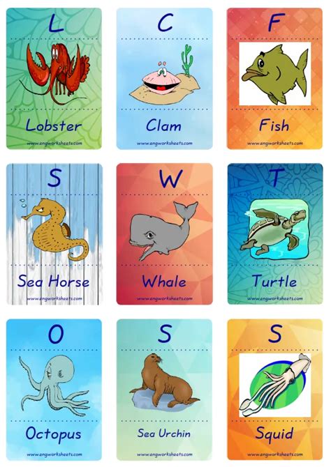 Sea Flashcard 的图像结果