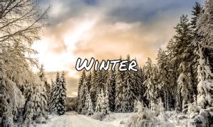 Scroll HTML CSS 的图像结果