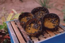 Home - National Innovation Foundation-India