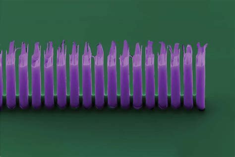 Image result for Mini Particle Accelerator