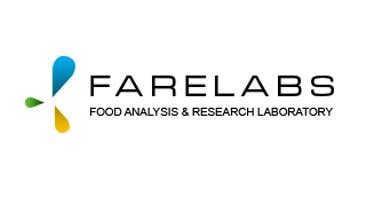 Himalayan IT Solutions Web Design Portfolio