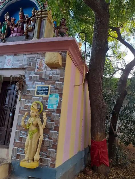 அருள்மிகு லட்சுமியம்மன் திருக்கோயில், Tenkasi - 627811 | Arulmigu ...