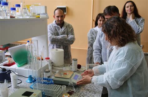 Beyond Plastic: Can bioplastics help us deal with plastic pollution ...