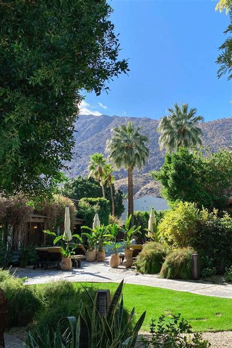 The best palm springs hotels for all budgets 2023 – Artofit