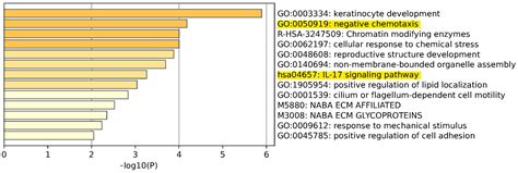 Identification of Pathogenic Pathways for Recurrence of Focal Segmental ...