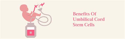 What is Stem Cell Banking? Know Significance of Stem Cell Preservation