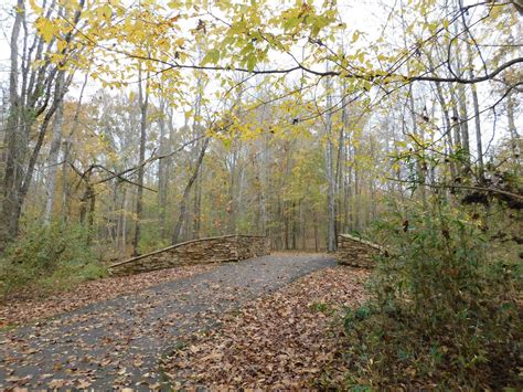 Facilities • Cool Springs Park