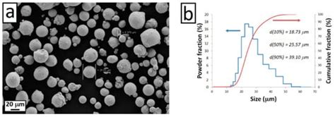 Texture and Microstructural Features at Different Length Scales in ...