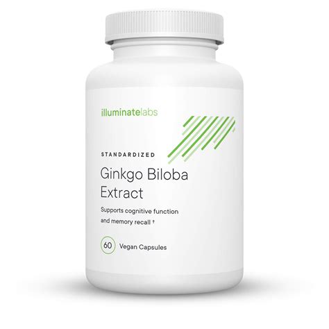 Ginkgo Biloba Extract Capsules | 240 mg | Third-Party Tested ...
