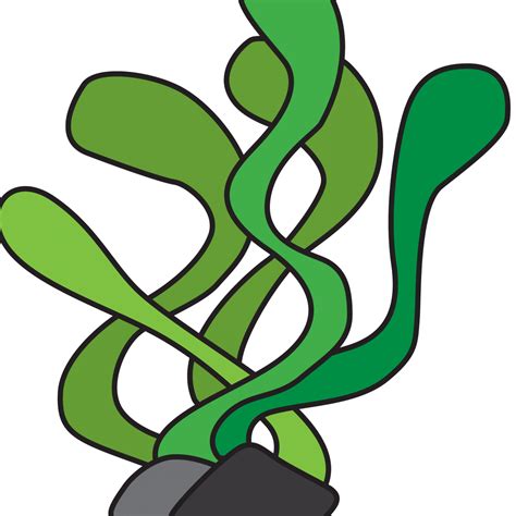 Kelp Drawing | Free download on ClipArtMag