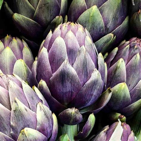 30 Purple Colored Vegetables (Photos, Names & More!) | The Fruity Jem