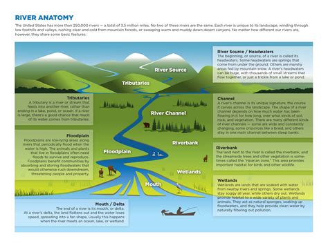 What Are 3 Parts Of A River System - Free Worksheets Printable