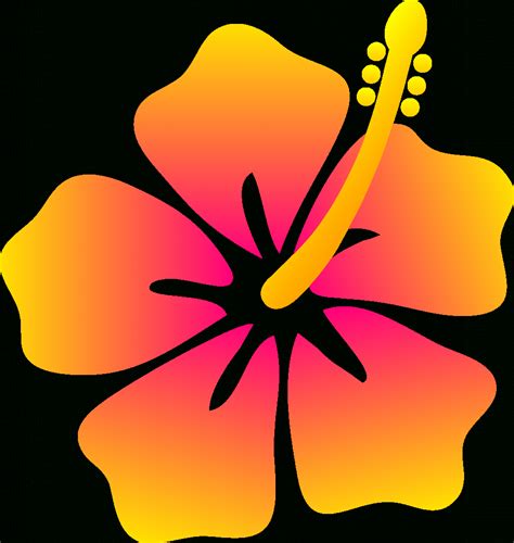 How To Draw A Simple Hawaiian Flower at Chris Henry blog
