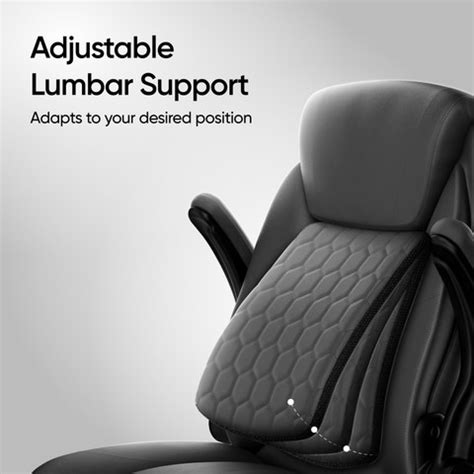 Frido 3D Posture Plus Ergonomic Chair, Home Office Gaming Chair for ...