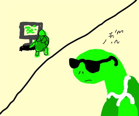 Image result for How to Do Turtle Coding