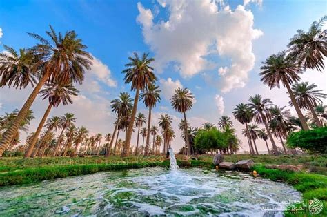 2023 A tour in Al Ahsa the largest Oasis in the world