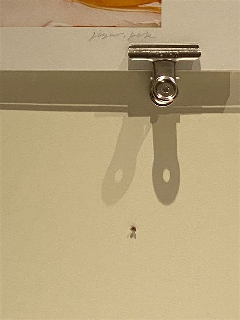 MOXY SEOUL, MYEONGDONG - Hotel Reviews, Photos, Rate Comparison ...