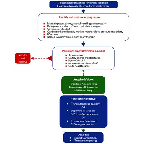 AHA ACLS Algorithms & Protocols for 2024