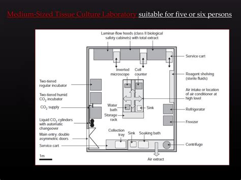 Cell Room Lab Design 的图像结果