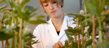 Image result for Plant Science Graduate Programs