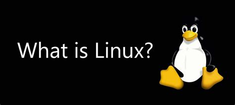 Image result for Is Linus a Good Operating System