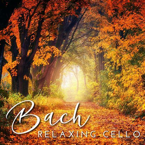 Bach - Relaxing Cello - Halidon