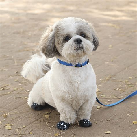 Zoof Boots - Lil Monster – Zoof Pets
