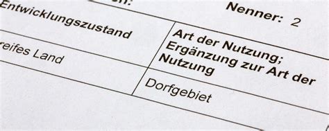 Grundsteuer: Steuerberater fordern von Lindner eine Fristverlängerung ...