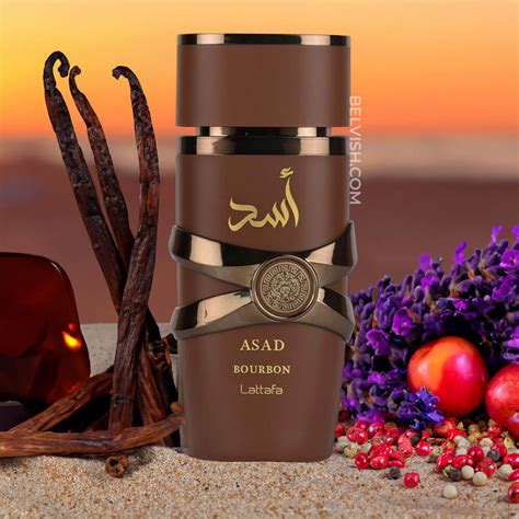 Shop Lattafa Asad Bourbon Eau De Parfum for Men - Belvish