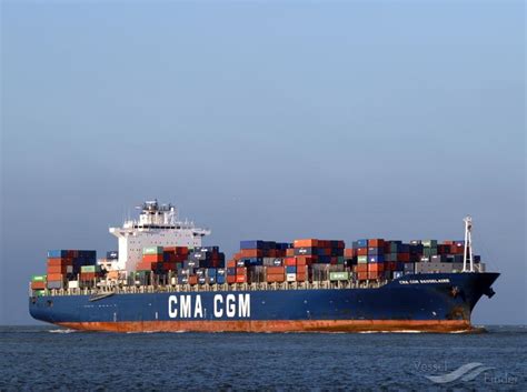 MSC SUAPE VII, Container Ship - Details and current position - IMO ...
