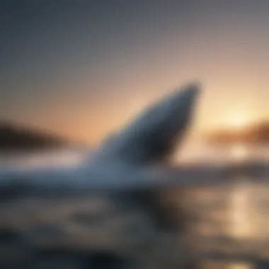 Image result for MATLAB Hydrodynamics