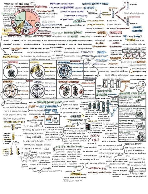 Cell Cycle Concept Map Biology 的图像结果