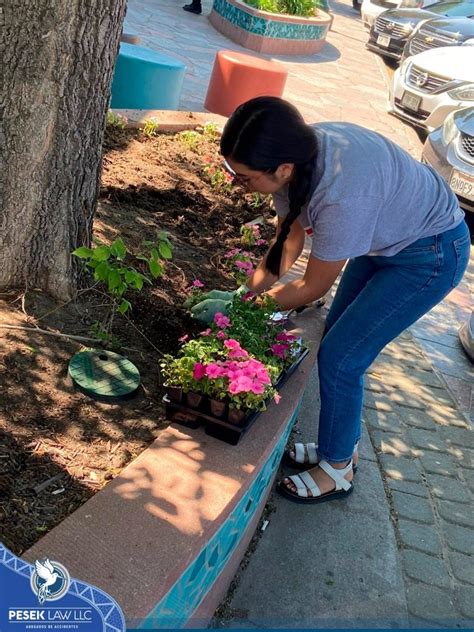 Image result for Spring Planting Program