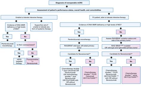 Addressing Challenges in Targeted Therapy for Metastatic Colorectal Cancer