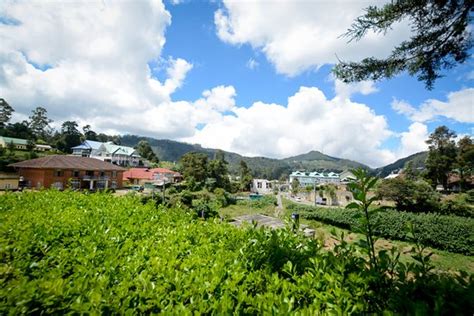 MOUNT MARY INN (Nuwara Eliya) - Specialty Inn Reviews, Photos, Rate ...