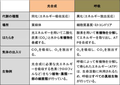 Learn OS Module Python From Beginning に対する画像結果